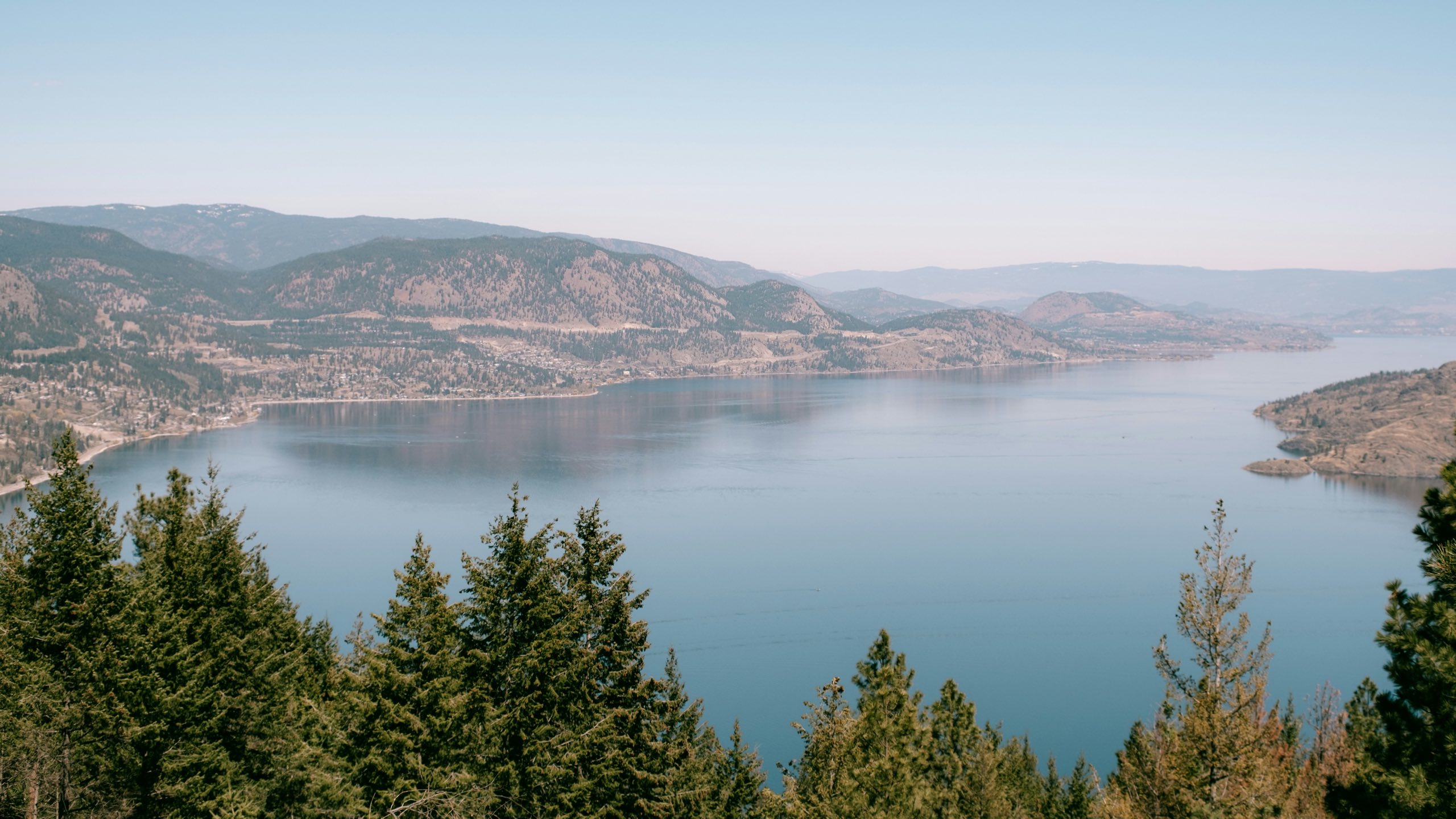 Elevated daytime view down Okanagan Lake, skyline and pines along the shore